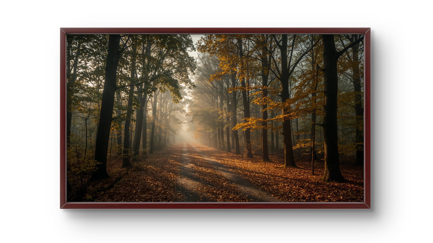 Forest Dawn – Autumn Path Wall Art Print