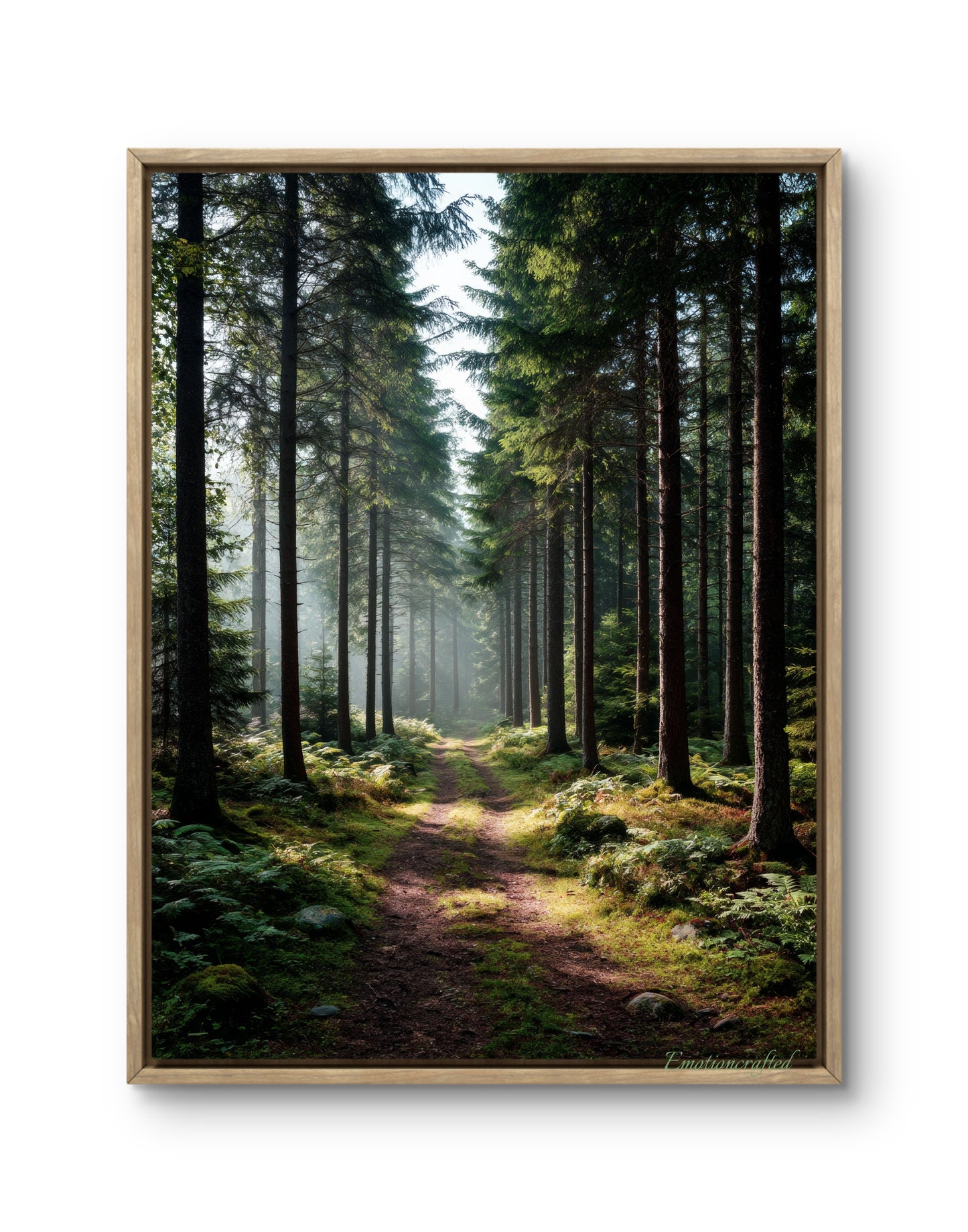 Sunlit Pine Forest Path Dark Green Landscape Wall Art