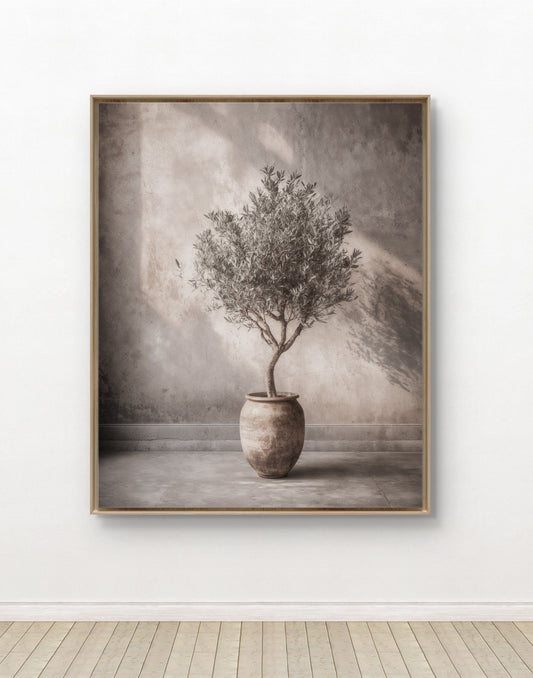 Stillness of the Olive Tree – Calm Minimalist Wall Art