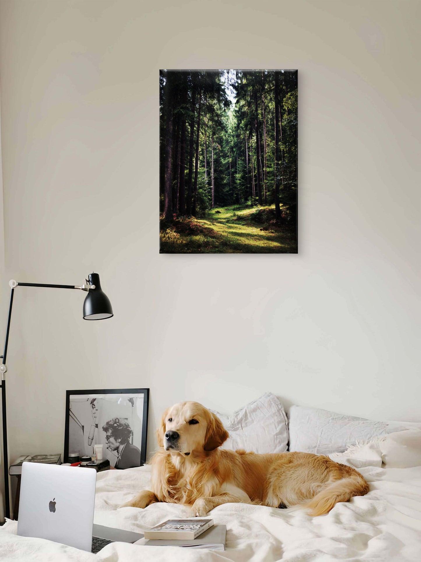Dark Green Forest Canvas Print, Woodland Nature Wall Art