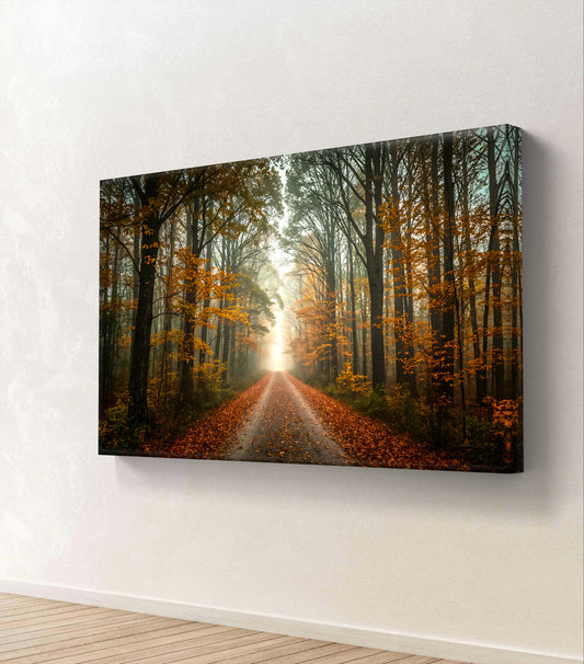 Forest Dawn – Autumn Path Wall Art Print